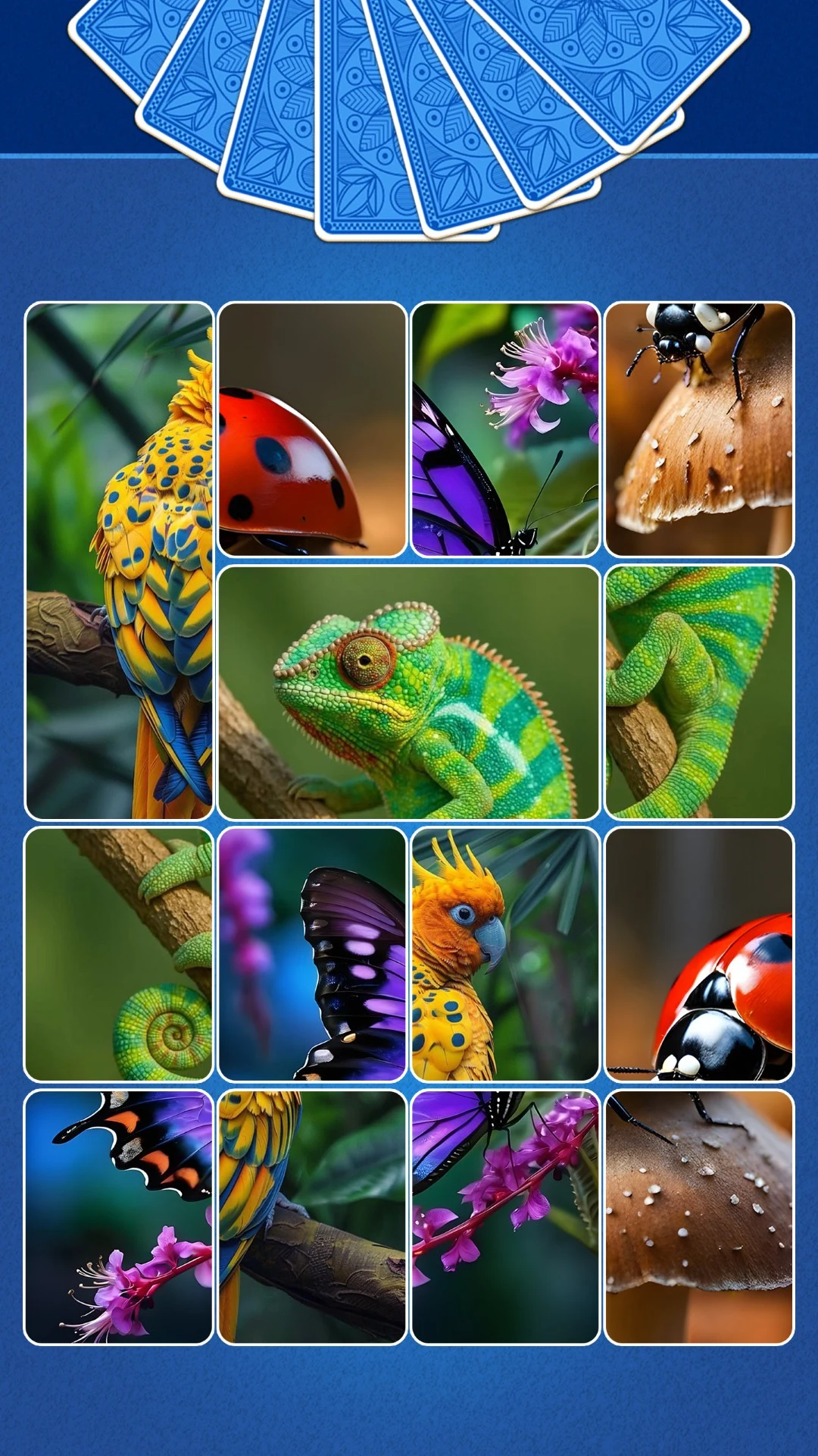 Jigsaw Puzzle: Solitaire Zen screenshot